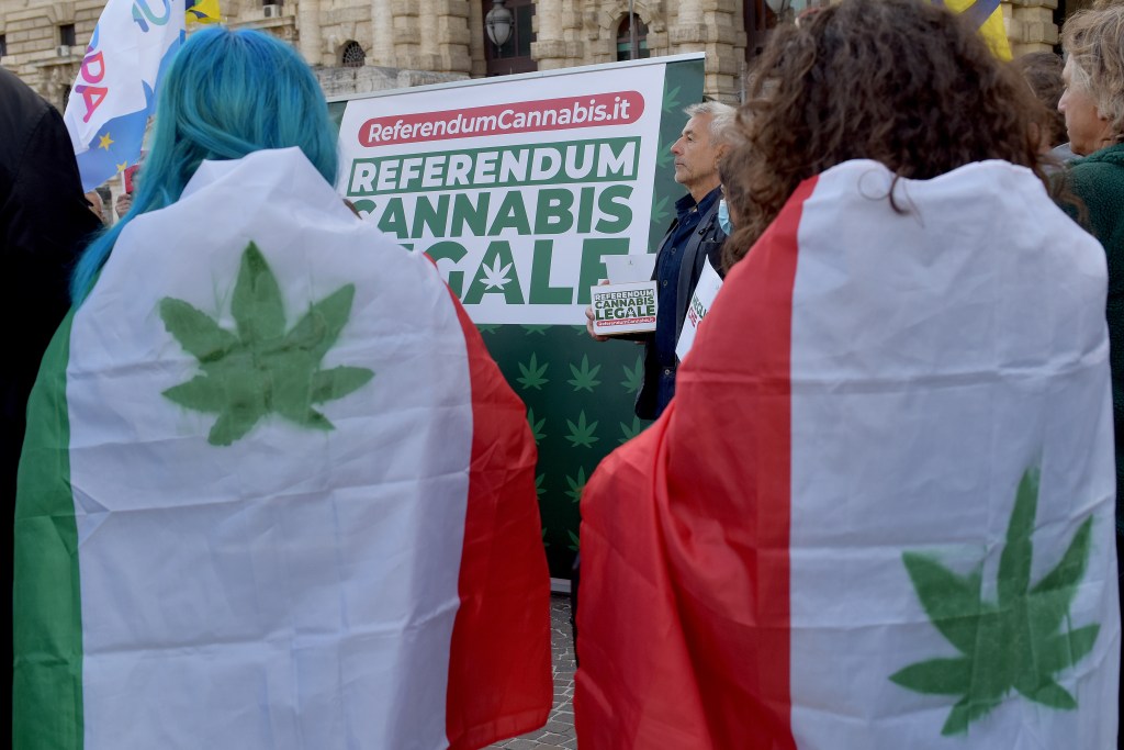 Referendum Legalisasi Budidaya Mariyuana di Italia Dijegal Mahkamah Konstitusi