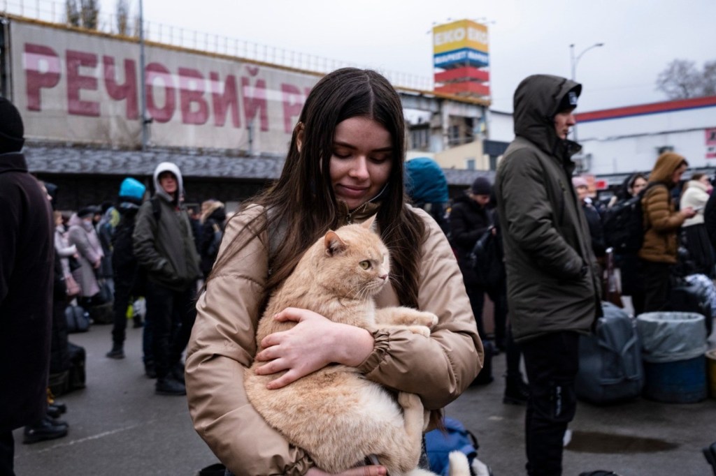 people leave kyiv russia invades ukraine