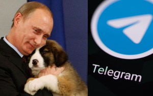 naslovna putin telegram