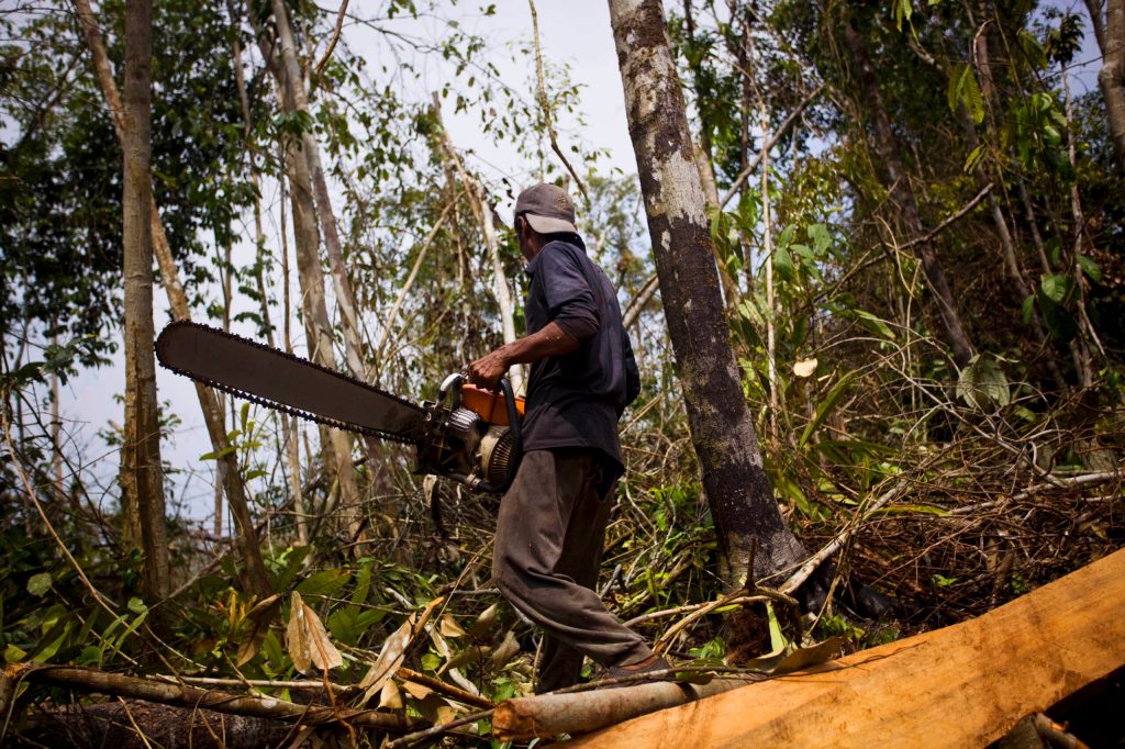 Mantan pembalak liar dirangkul dalam program KTHK menghijaukan kembali Taman Nasional Leuser di Aceh