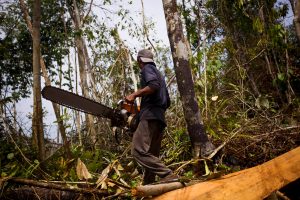 Mantan pembalak liar dirangkul dalam program KTHK menghijaukan kembali Taman Nasional Leuser di Aceh