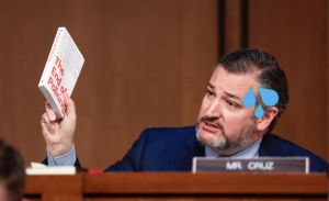 sweaty ted cruz holding 'the end of policing' book during supreme court confirmation hearing
