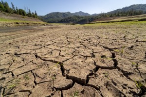 ‘They Are Lying’: Companies and Governments Must Decarbonize Now to Avert Disaster, UN Report Says