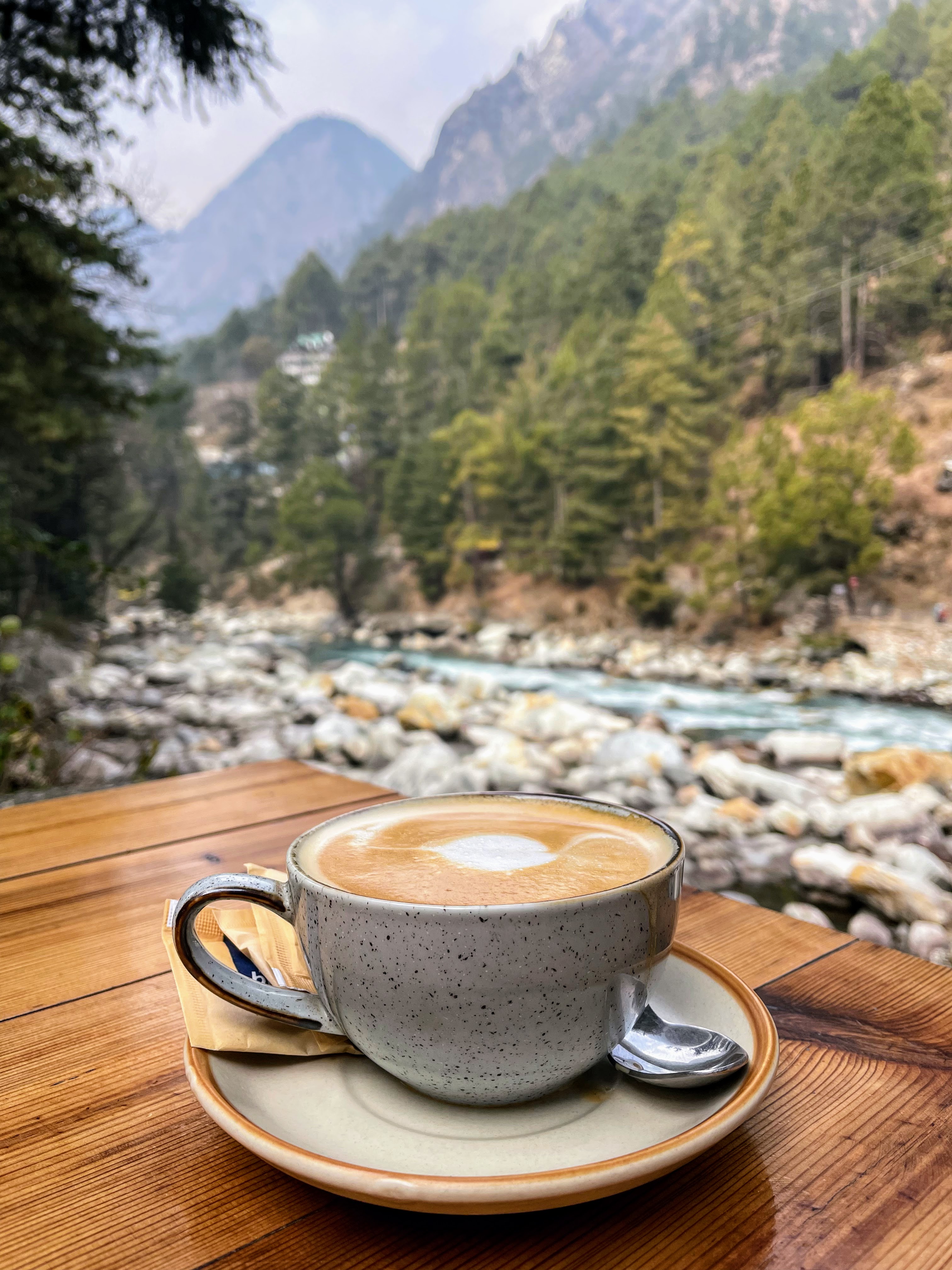 Inside India’s First Hemp Cafe Off Limits Kasol