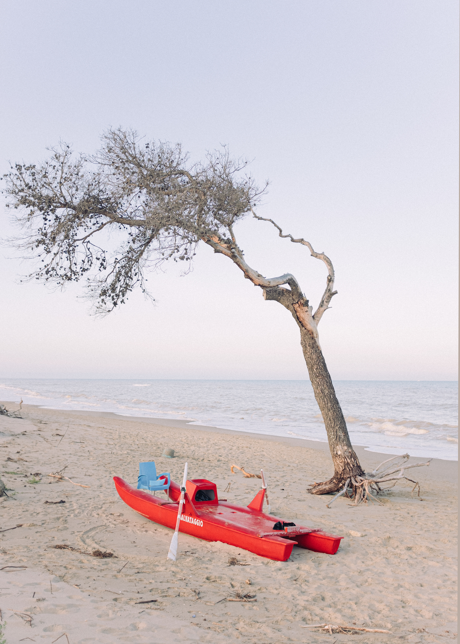 Michele Battilomo, De-population, Basilicata – picture of a lifeguard's boat parked under a large tree on an empty beach.