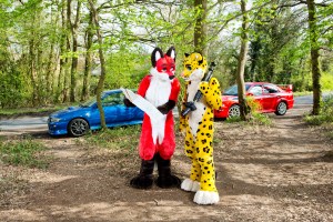 Two furries stop their cars for a break in the woods,.