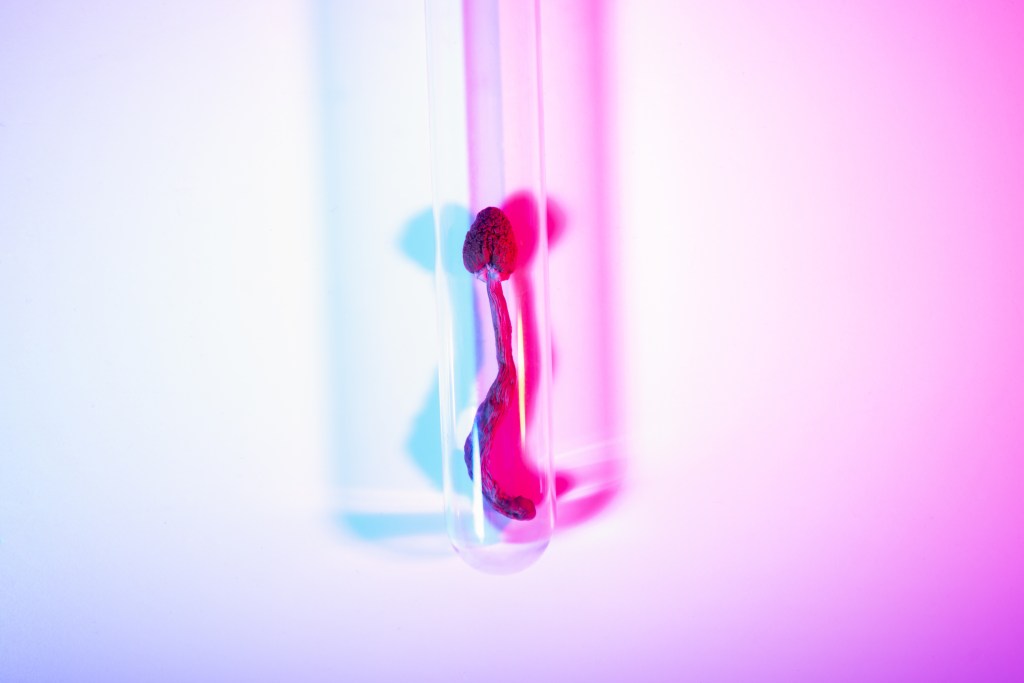 Inside the Dispute Over a High-Profile Psychedelic Study