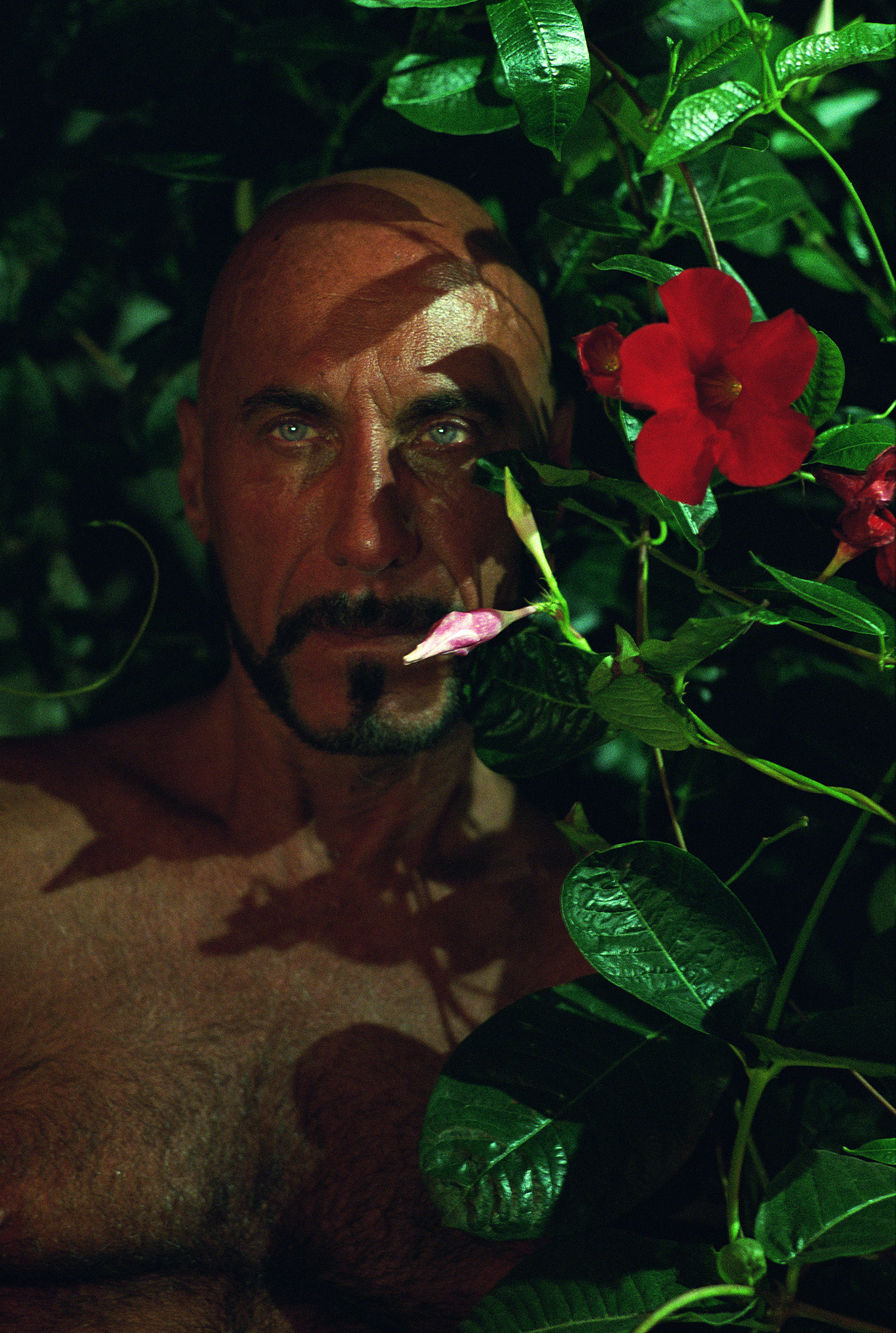 Fire Island: A gay bearded man posing next to flowers, photography by Matthew Leifheit from To Die Alive