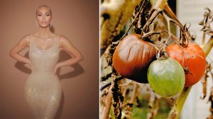 Kim kardashian dieta extrema rosii dieta slabit vedete romania sfaturi slabire anorexie bulimie