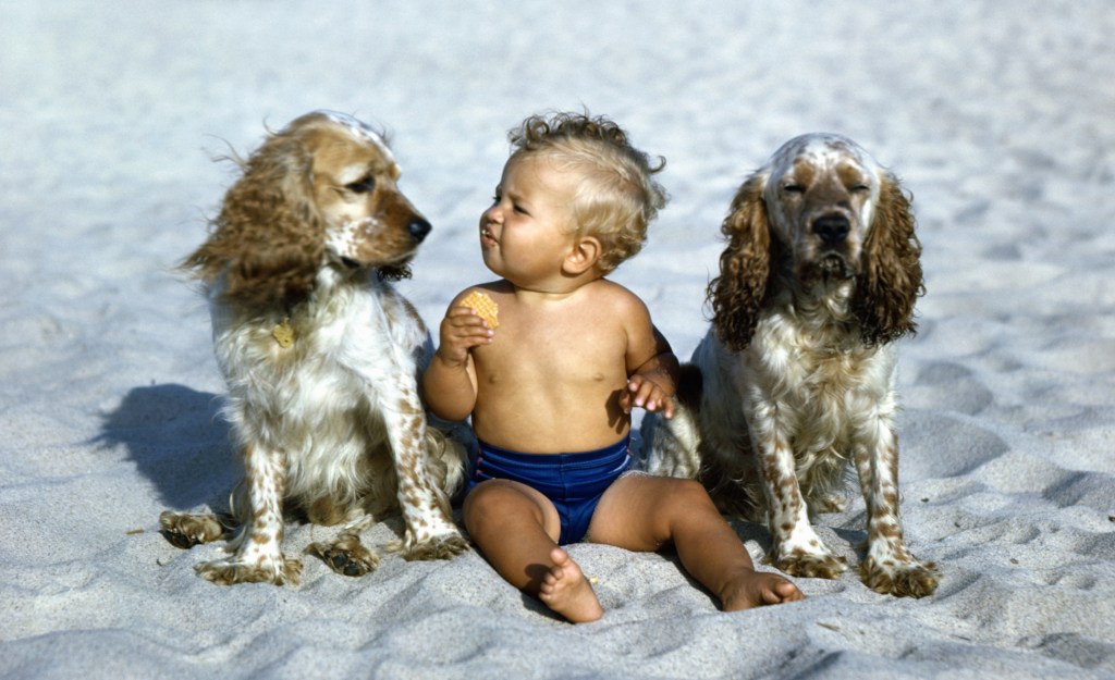 The Boom-Bust Cycle of Baby Names and Dog Breeds