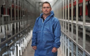 gripa aviara in europa, joburi din olanda ucis animale, gripa aviara olanda