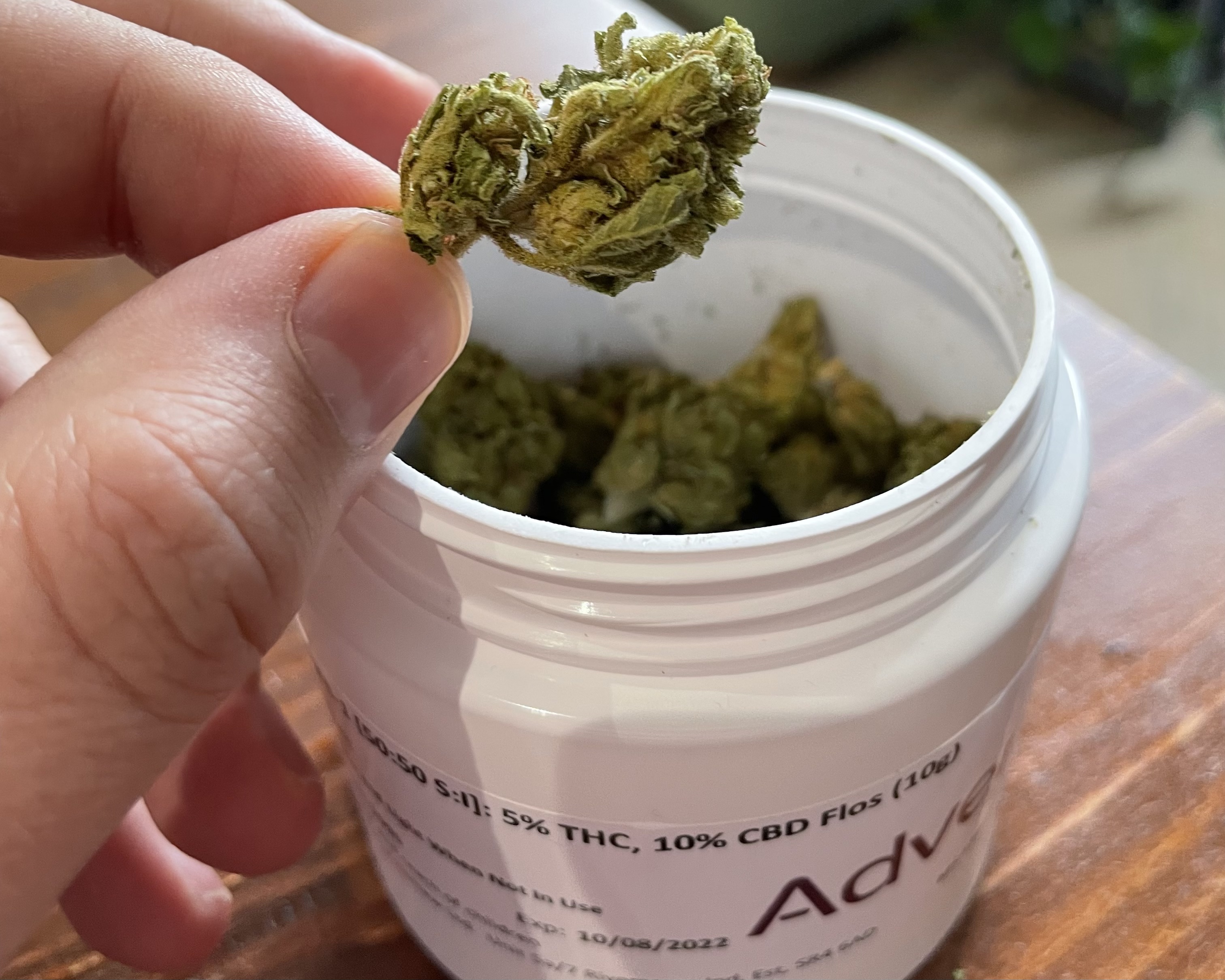 Holding a bud of medicinal weed for anxiety