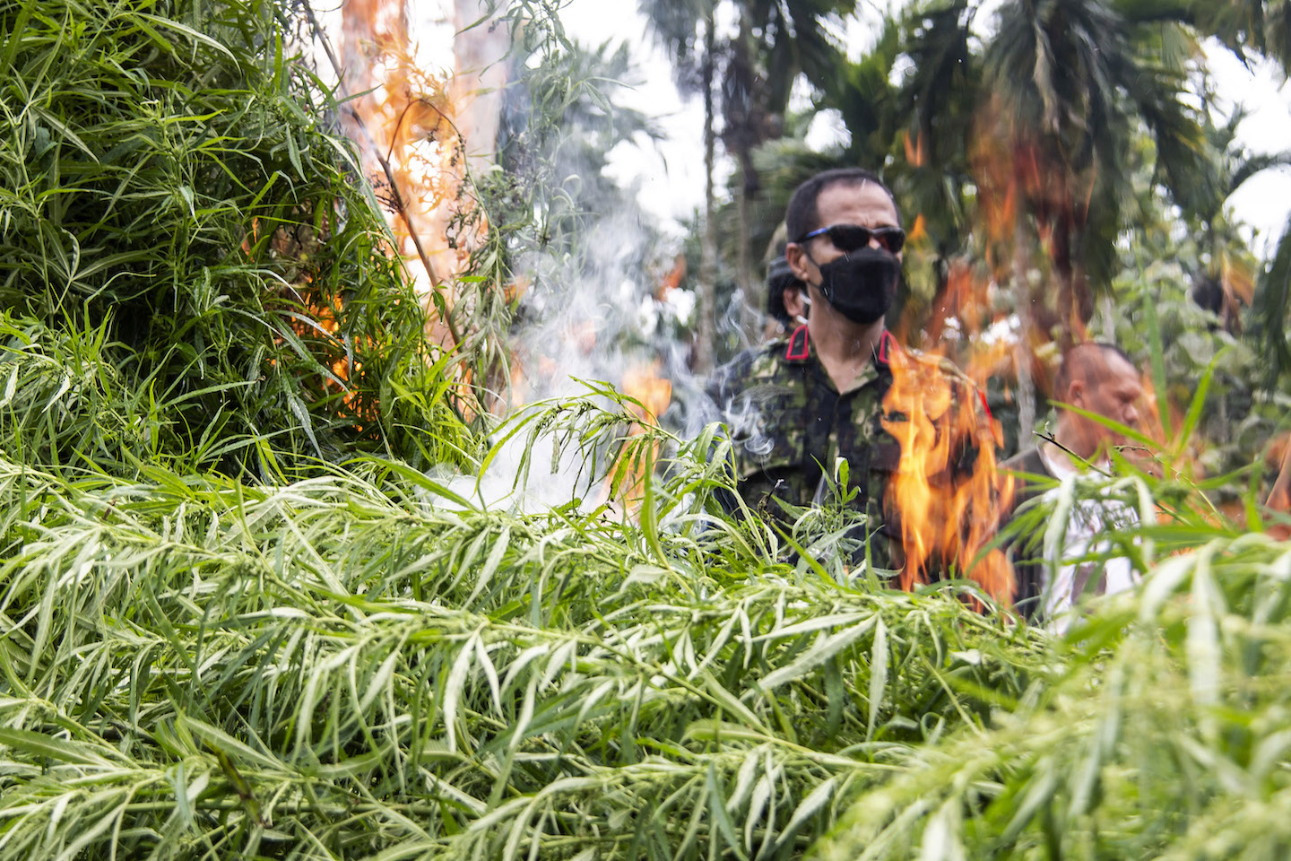 drugs burning