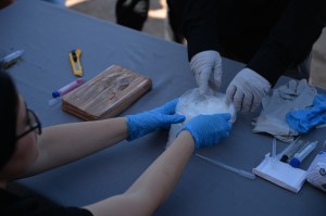 Hands holding meth