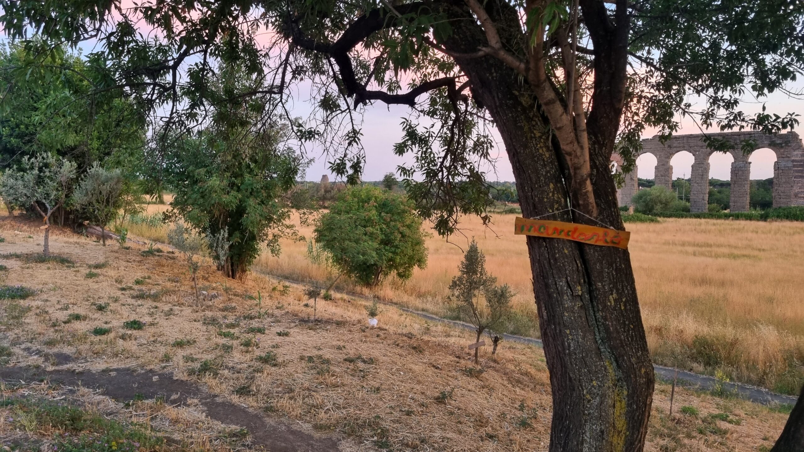 Parco degli Acquedotti Roma.jpg