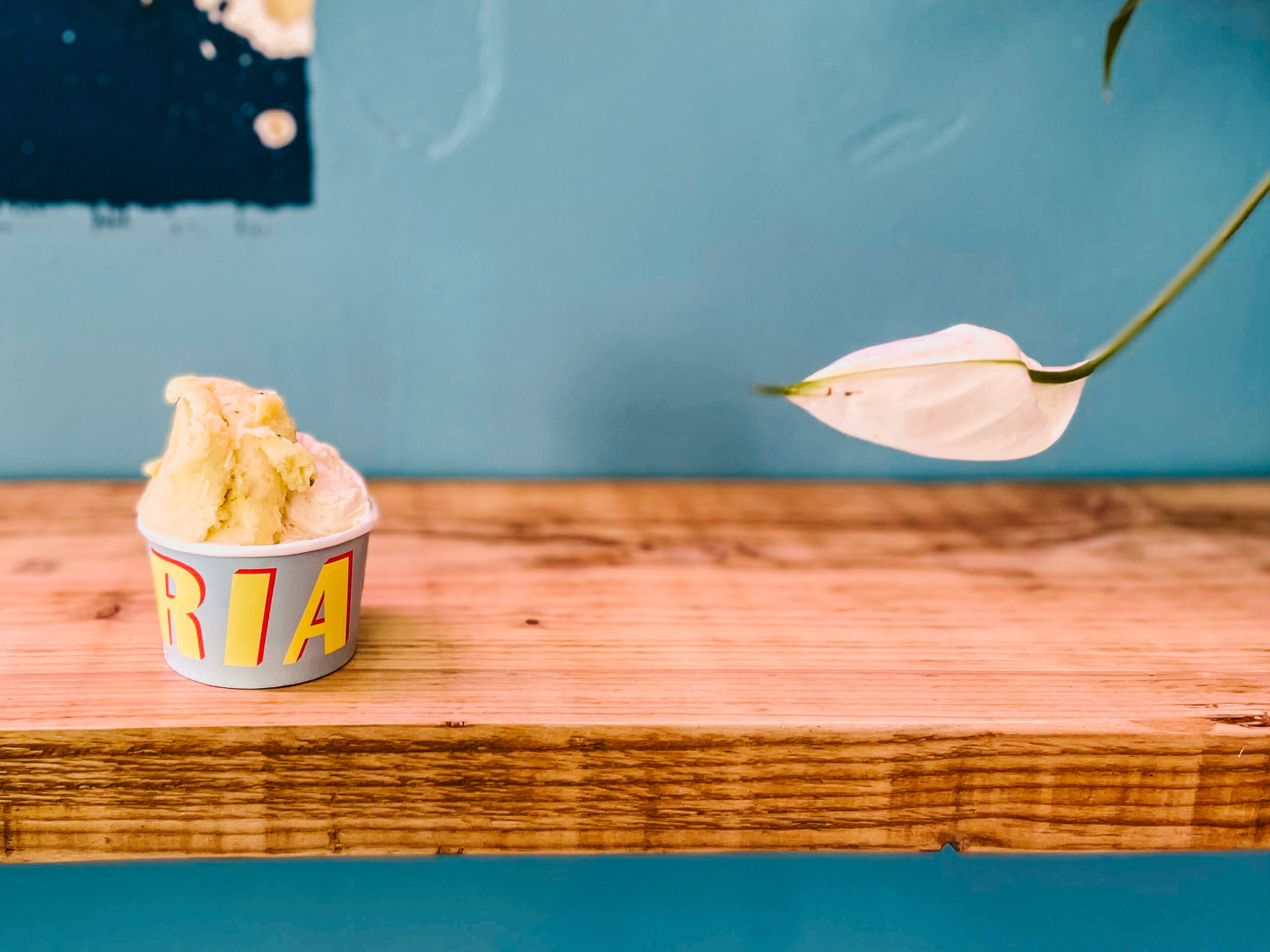 Aria Gelateria Torino.jpg