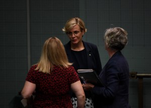 Zali Steggall in parliament
