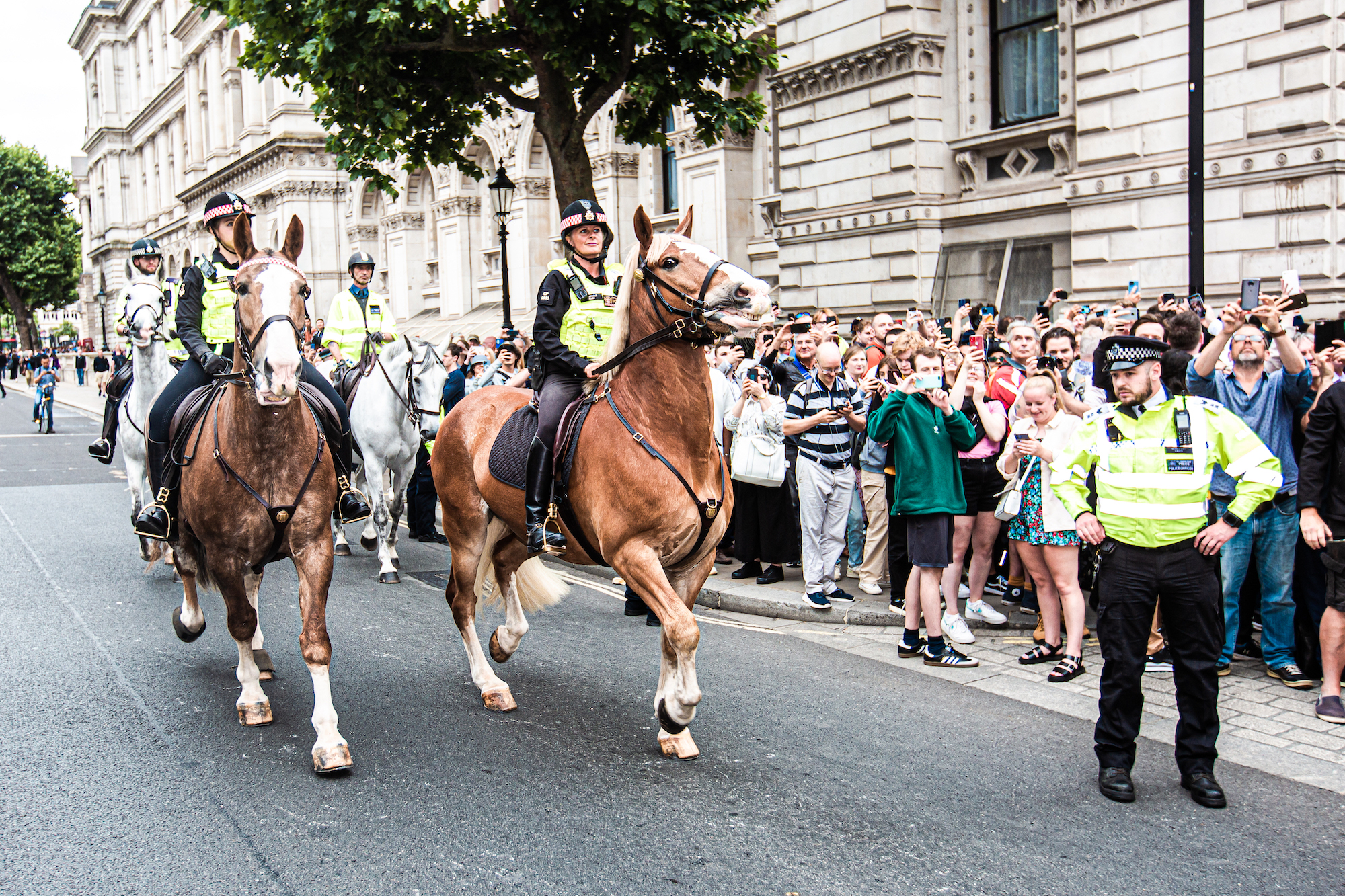 Downing Street, London: Police horses next to the crowds after Boris Johnson's resignation