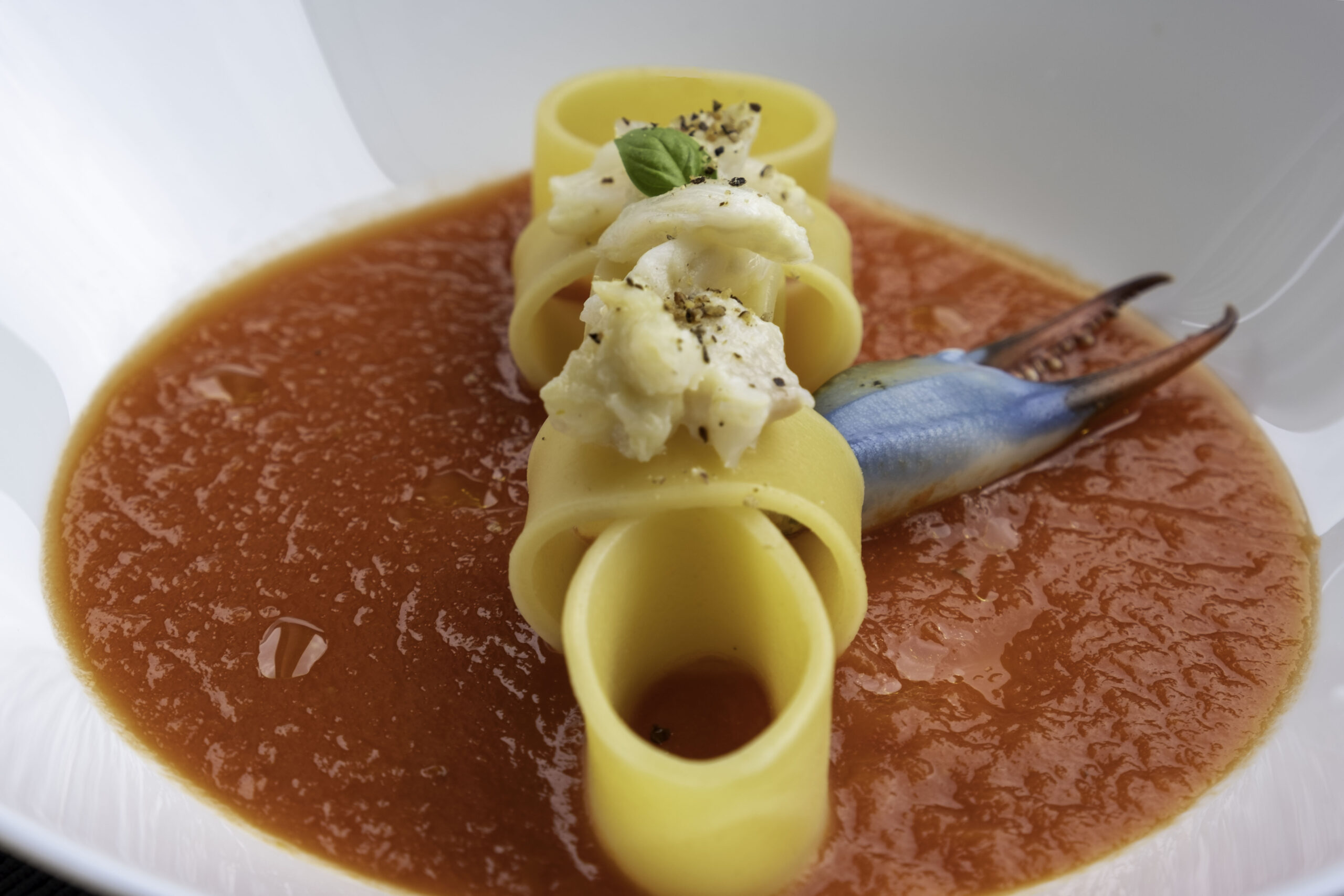 Pasta con Granchio Blu.jpeg