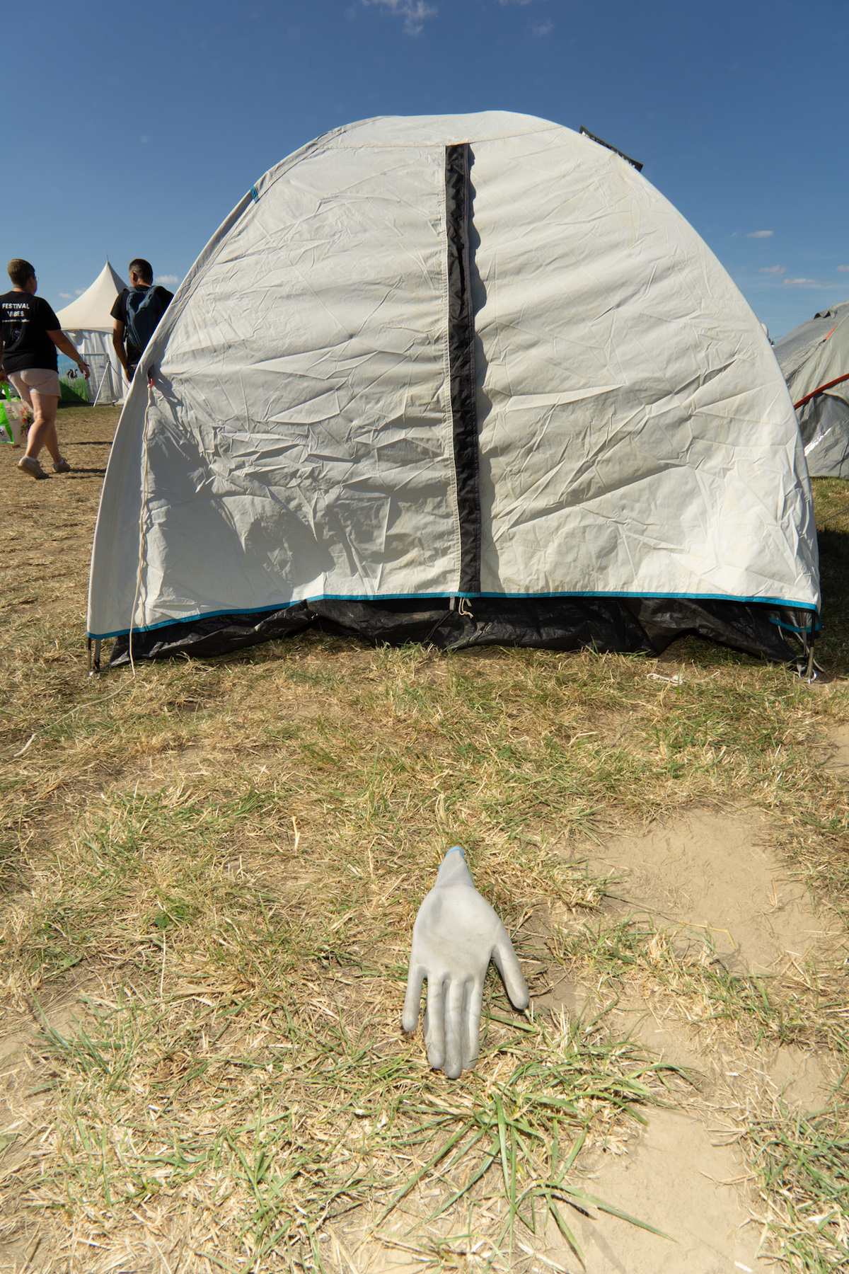 DSC09445.jpg