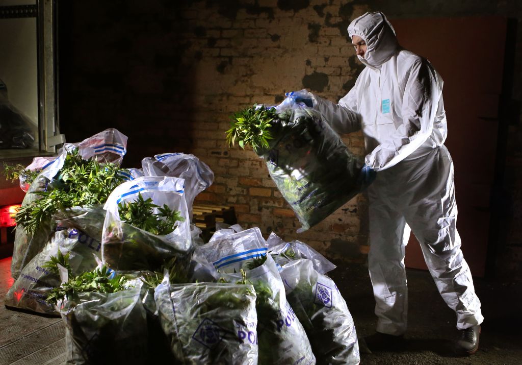 cannabis factory abandoned court