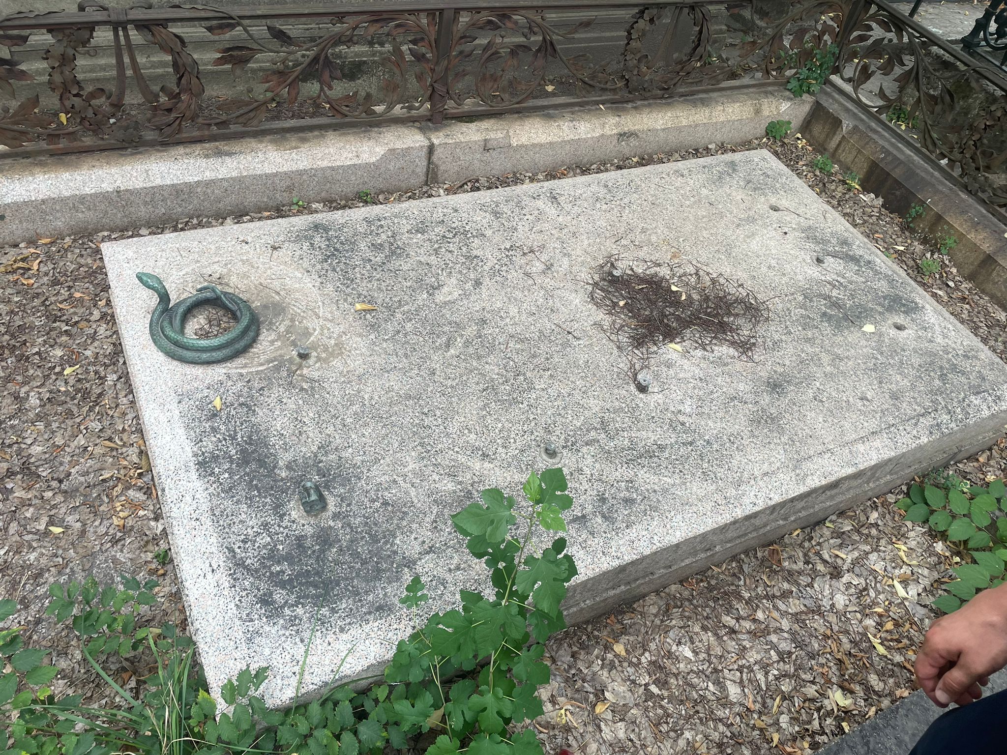 atractii turistice cimitirul bellu excursie tur ghidat
