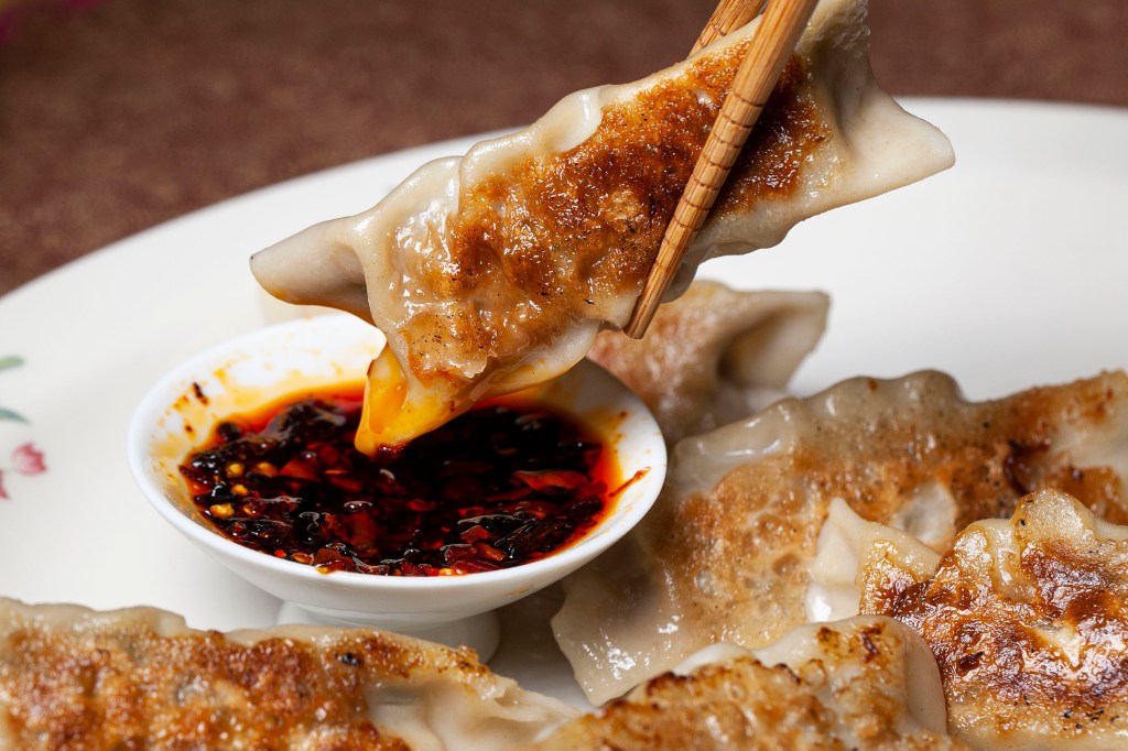 Pork and Veggie Pan-Seared Dumplings Recipe