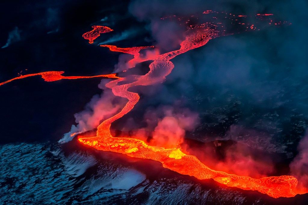 Des chercheurs découvrent une surprenante cause des extinctions de masse