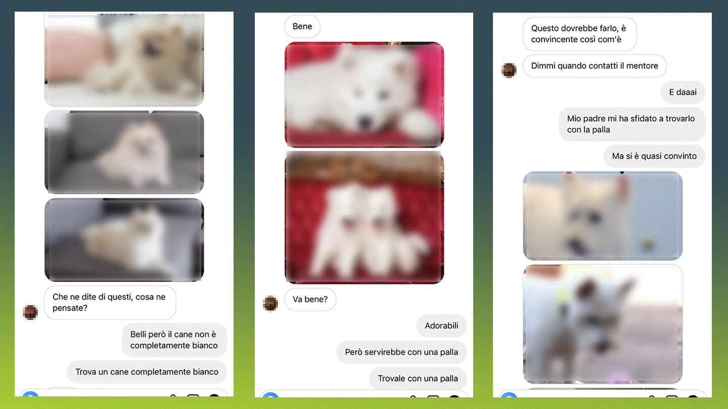atacuri phishing, escroci tepe instagram