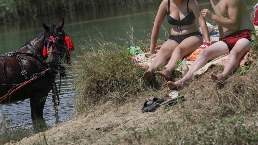 Dacă te-ai sufocat vara asta-n România, uite de ce ar putea fi mult mai rău de-atât