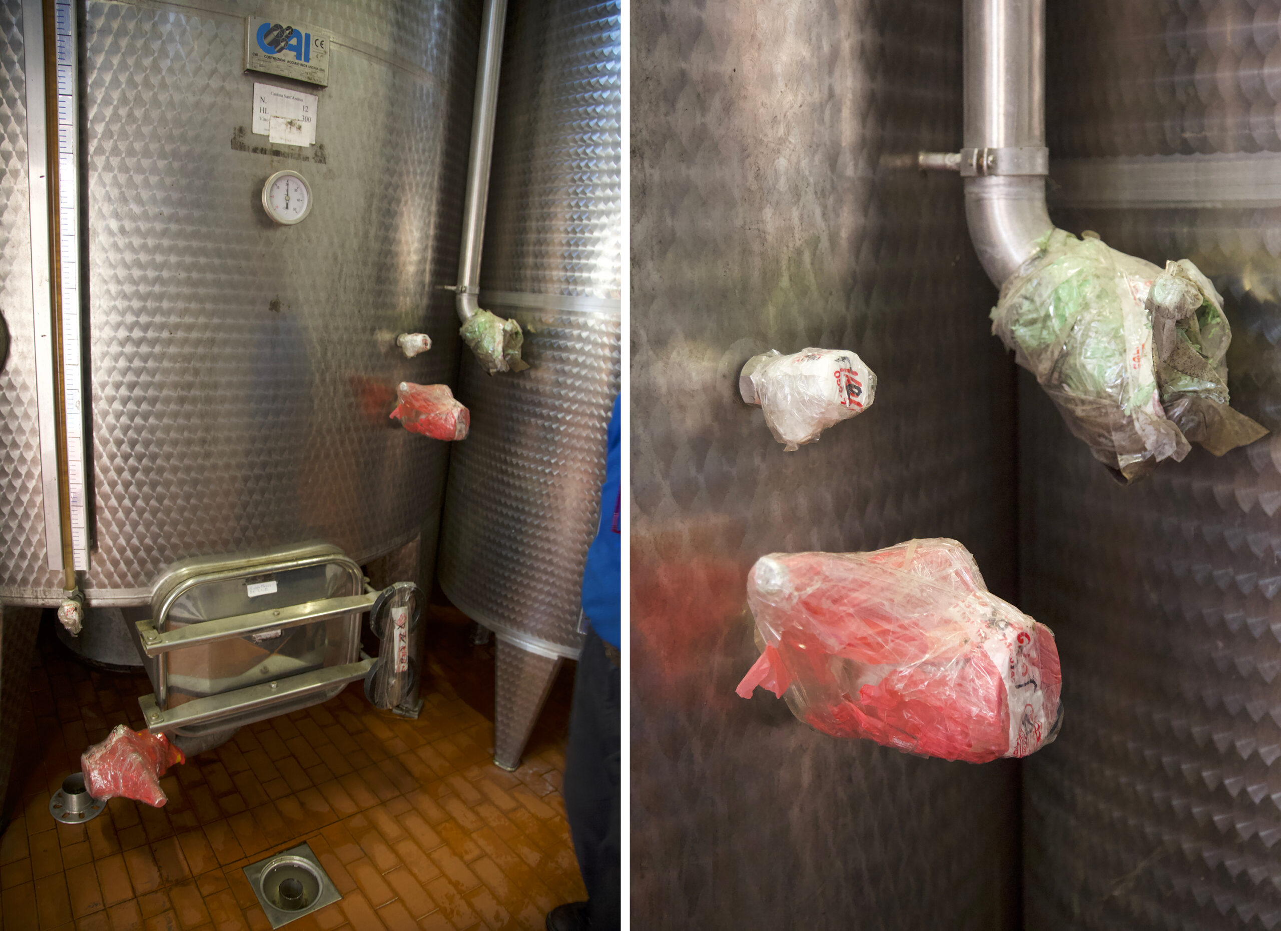 sigillo-vino-kosher-.jpg