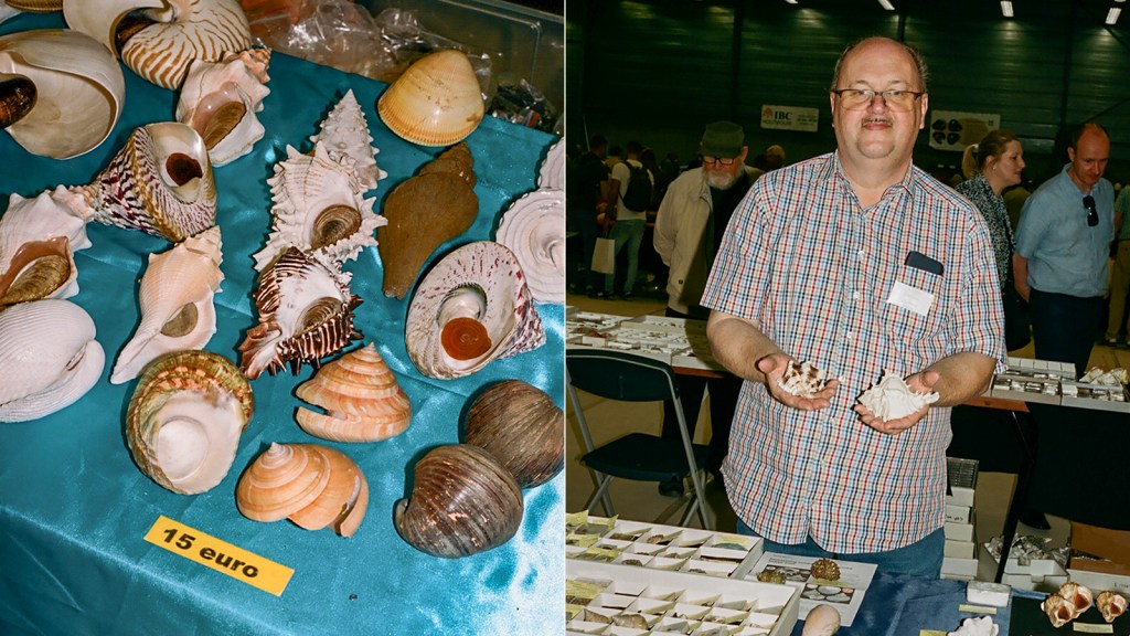 Shell Yeah: Soothing Photos of a Seashell Collecting Convention