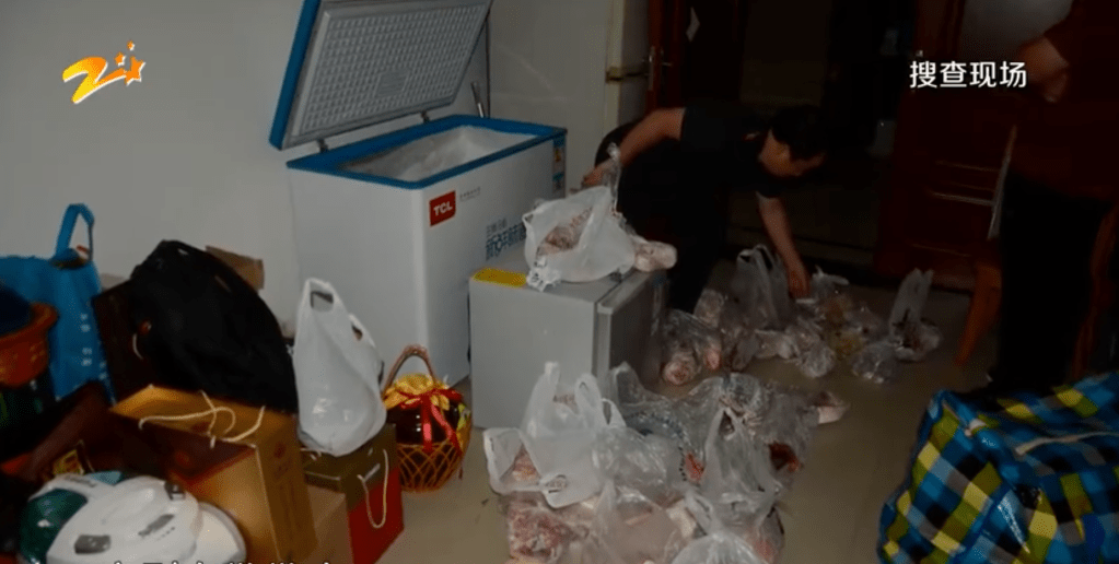Daging Beku Isi Emas Batangan Disita dari Rumah Koruptor Tiongkok