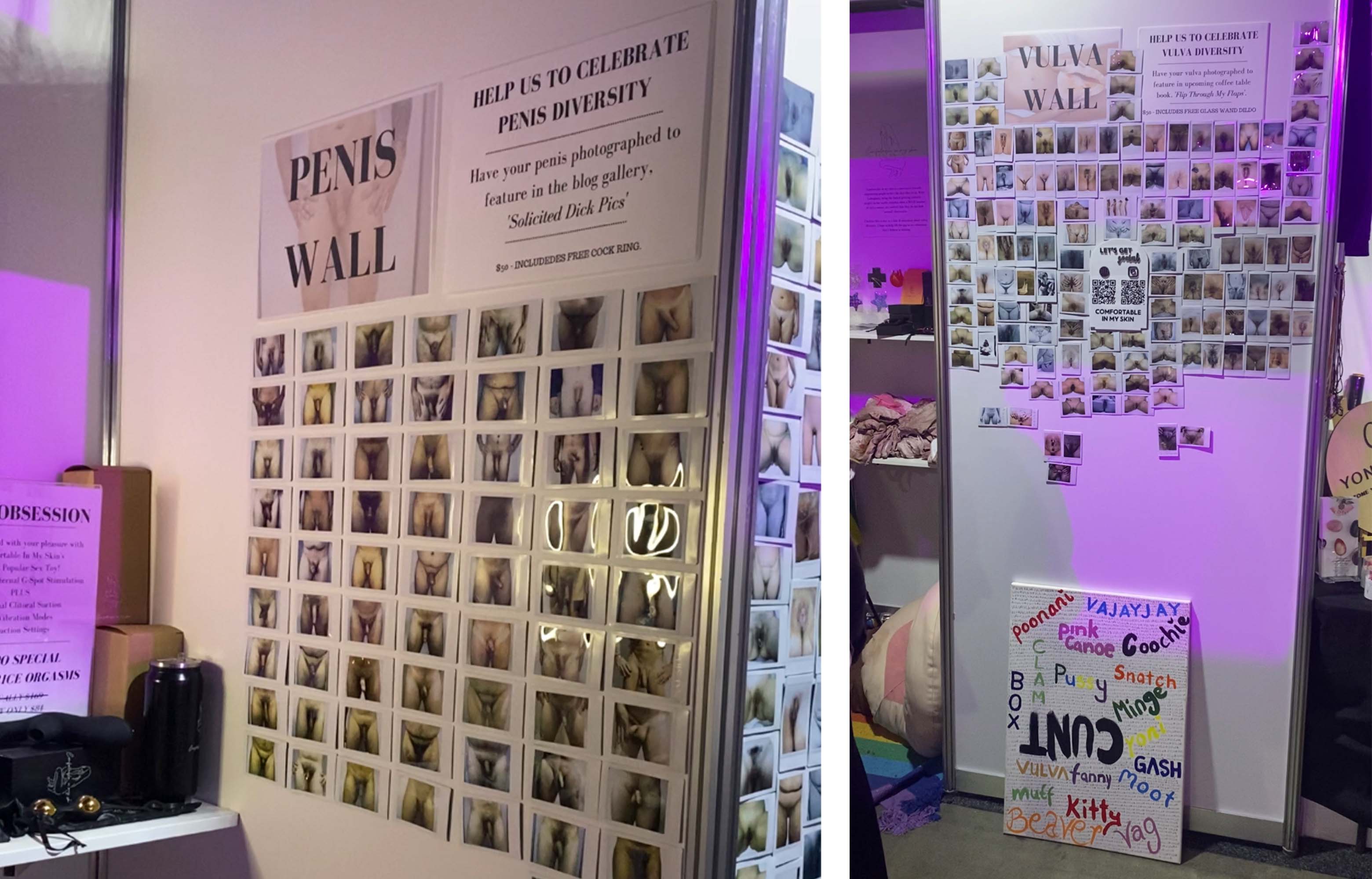 penis/vulva walls