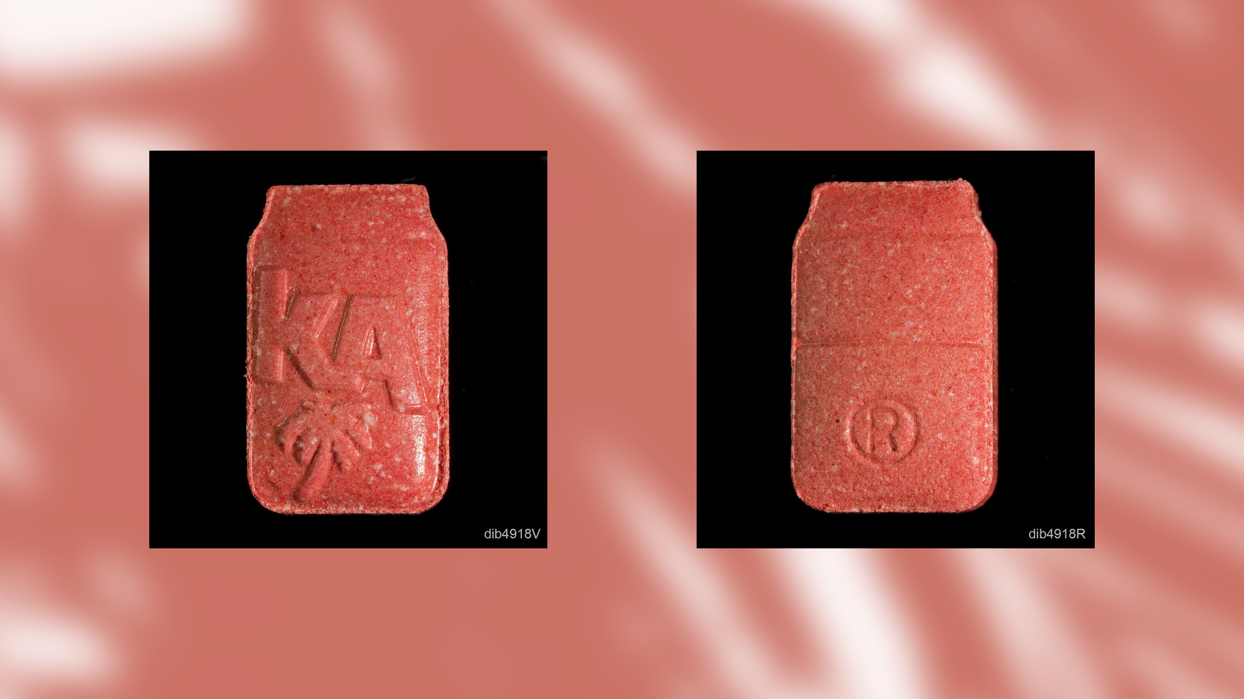 Eine rote rechteckige Pille mit KA und Palmenprägung