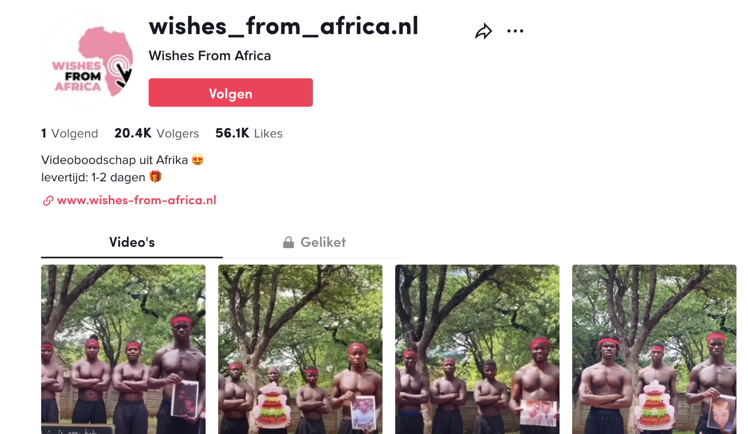 Screenshot van het TikTok account dat inmiddels offline is gehaald