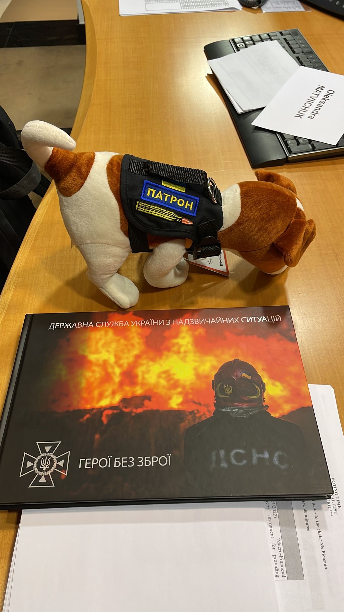 Ein Plüschhund. Wir haben Geschenke an EU-Parlamentarier nach Absurdität geordnet.
