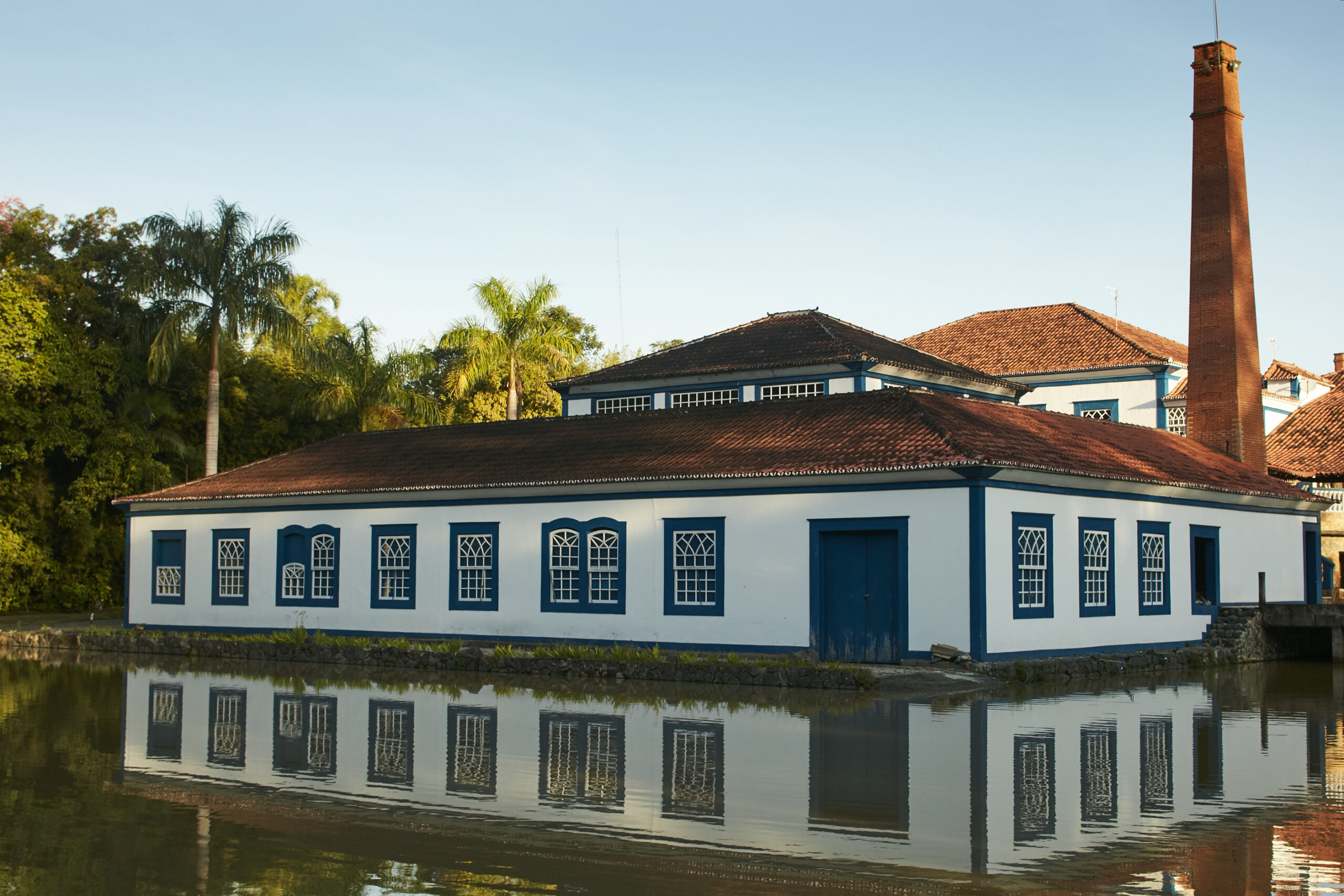 Amazzoni gin primo gin brasiliano