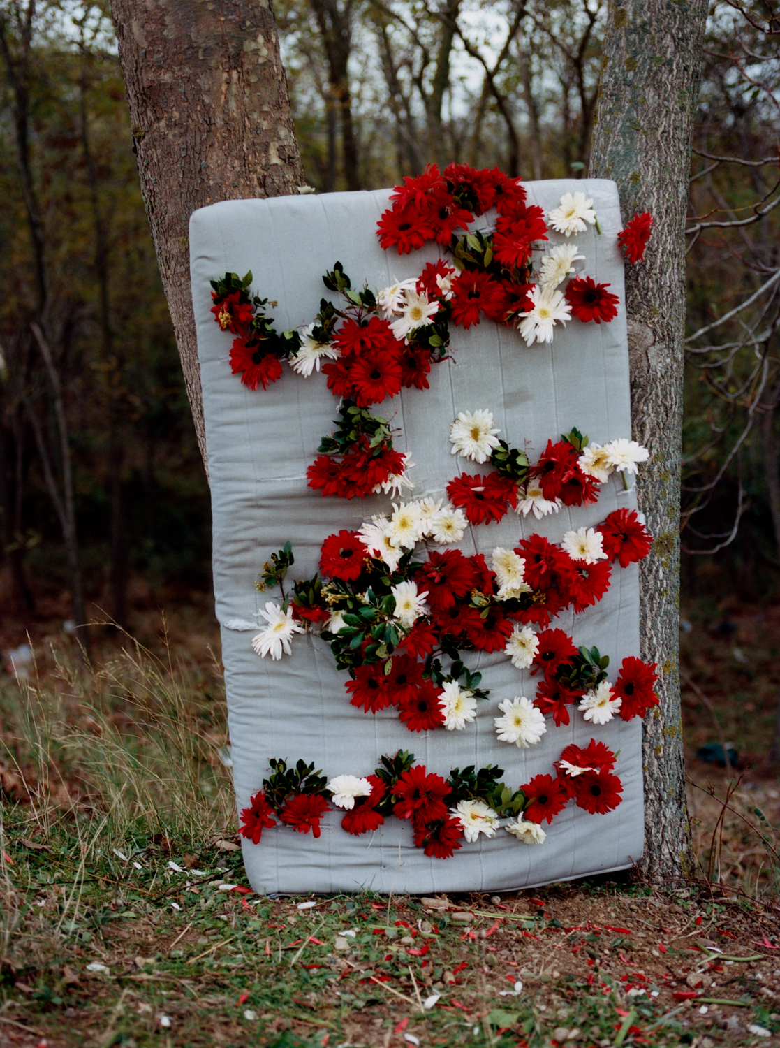 A mattress stands against two trees with red and white flowers covering it in a pattern.