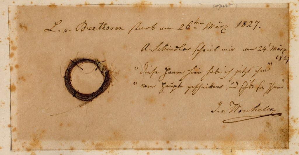 Beethoven's DNA Has Been Analyzed After 200 Years From Locks of Hair