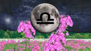 collage of full pink moon in aries