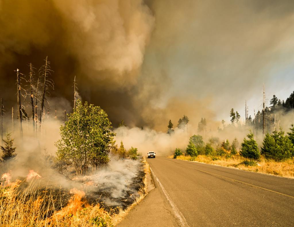 How Eco-Anxiety is Killing the Climate Movement