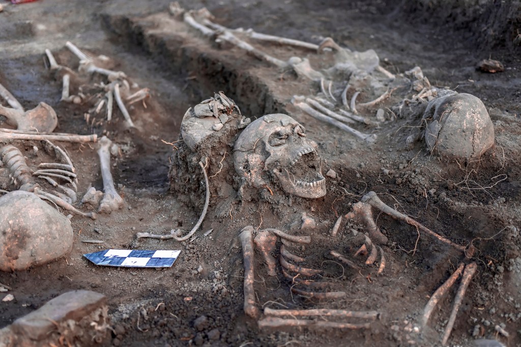 I Study Corpses in ‘Body Farms’ for a Living