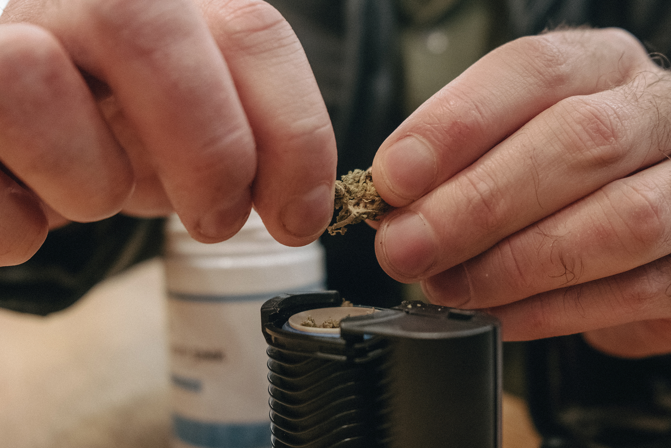 Close-up of medical cannabis held in someone's hands