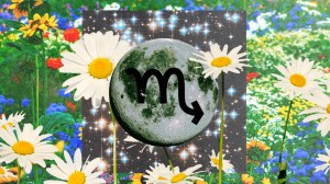 5_3_2023_SCORPIO_MOON_CV_SITE LEDE
