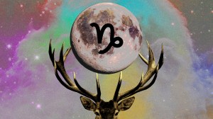 collage of a buck moon: full moon in capricorn