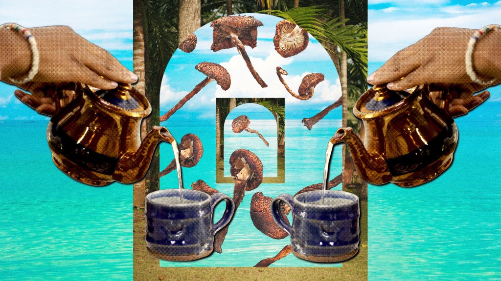 How a Legal Loophole Made Jamaica a Magic Mushroom Paradise