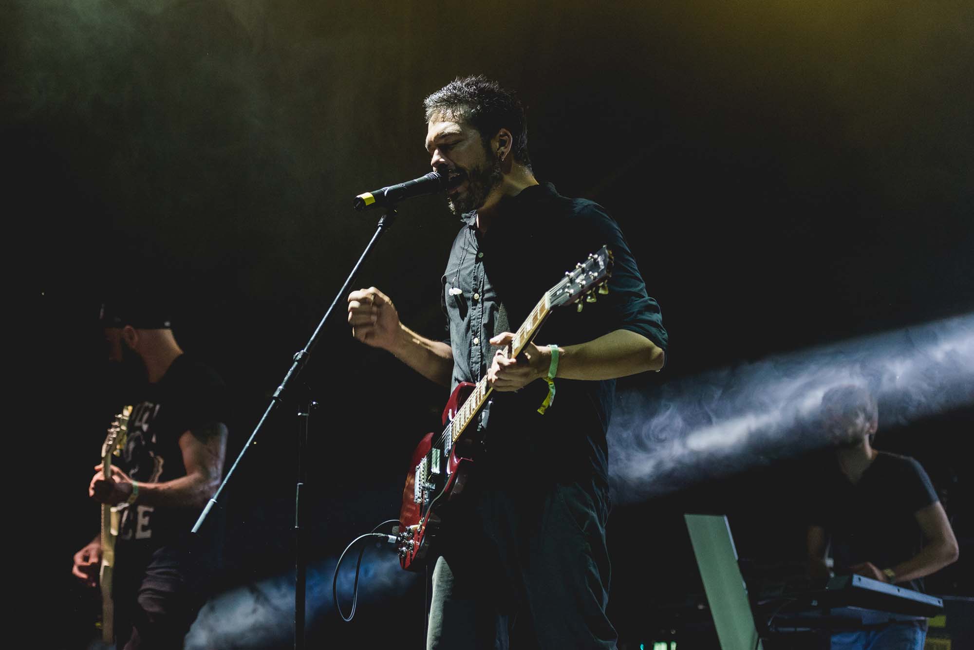vita de vie adrian despot electric castle festival line up muzica