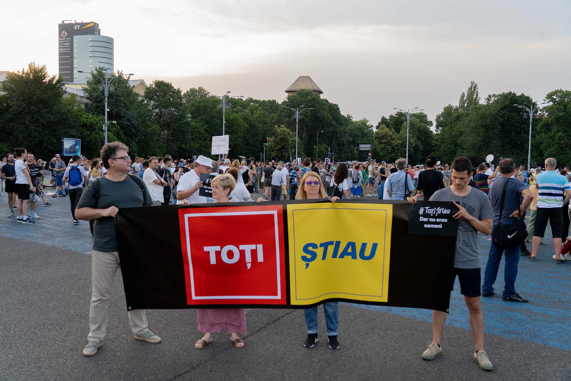 gabriela firea demisie protest azilele groazei psd pnl 1