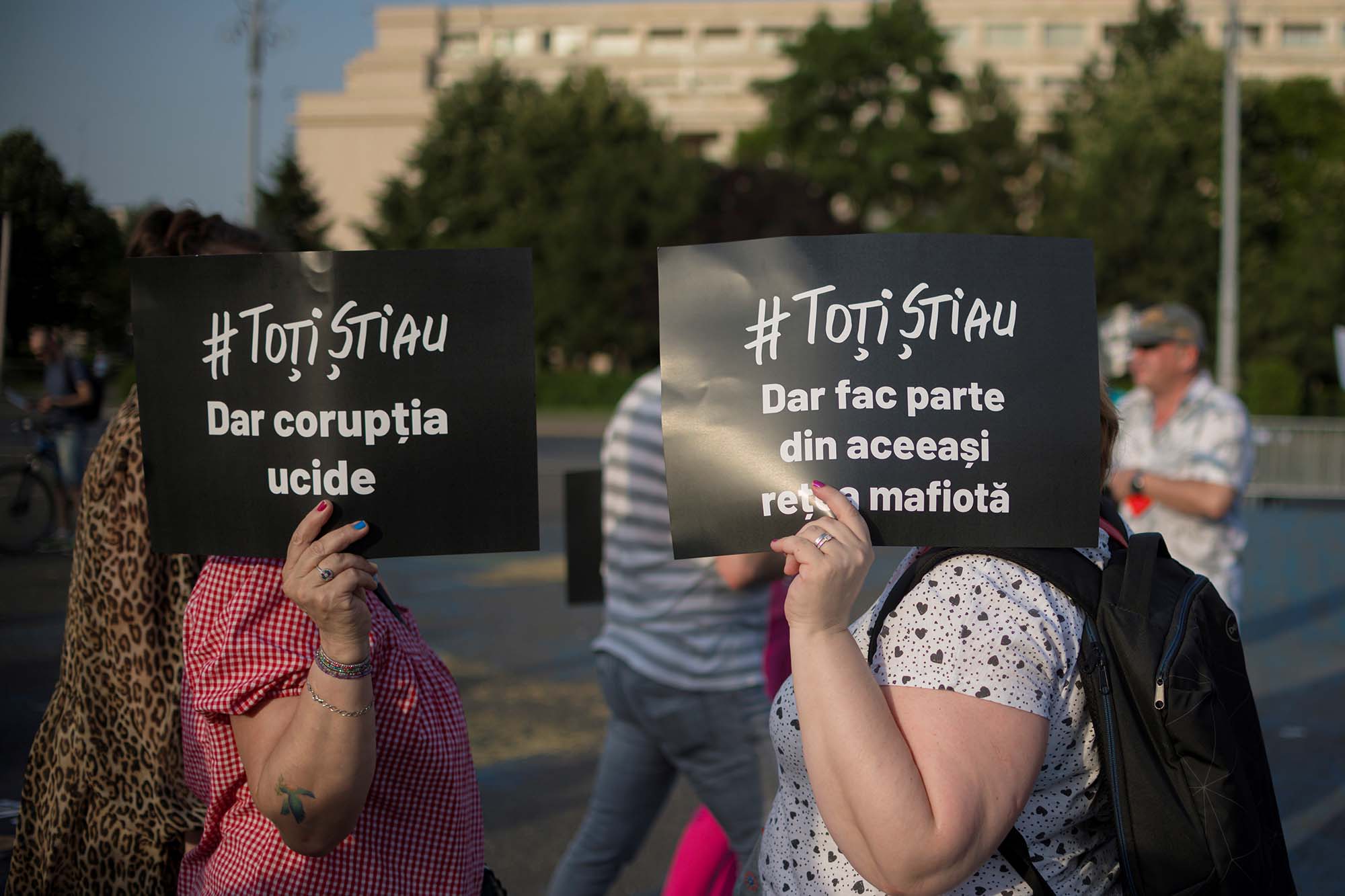gabriela firea demisie protest azilele groazei psd pnl 6.jpg